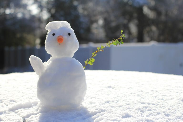 snowman